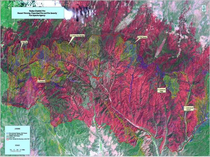 Rodeo-Chediski burn severity map